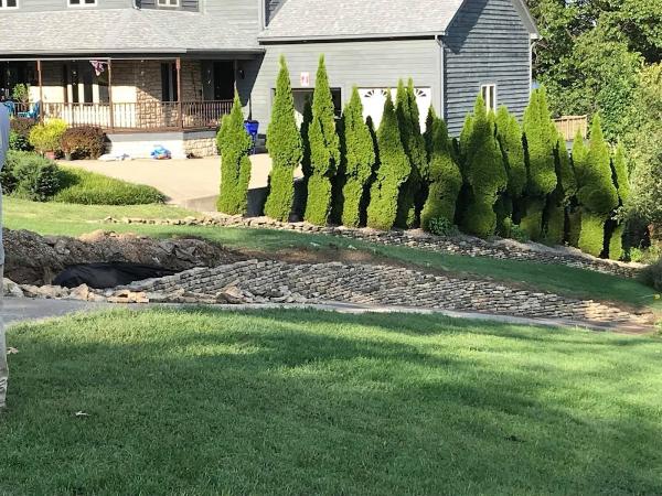 Brother's Irrigation and Lighting