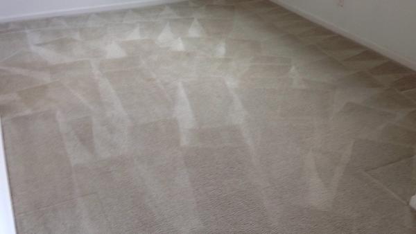 Sunbird Carpet Cleaning