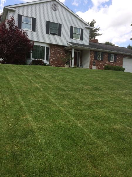 Jackson Lawn Care
