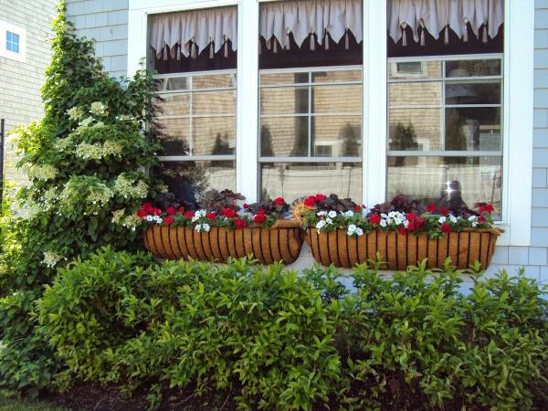 Michelle Moore Gardening