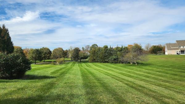 Farah Landscape and Design