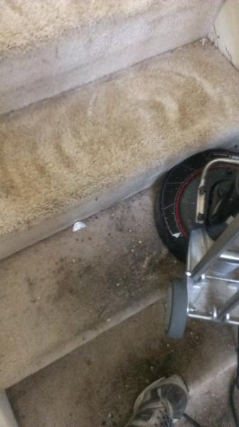First Class Carpet Cleaning & Restoration