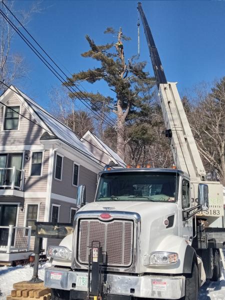 Arbortech 