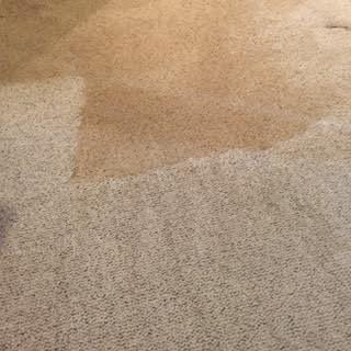 Colonial Carpet Cleaning