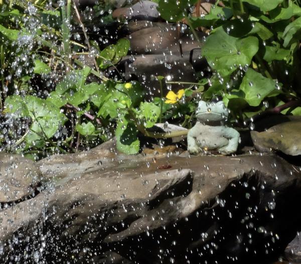 Vortex Water Features