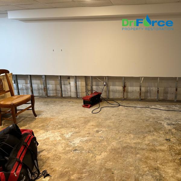 Driforce Property Restoration