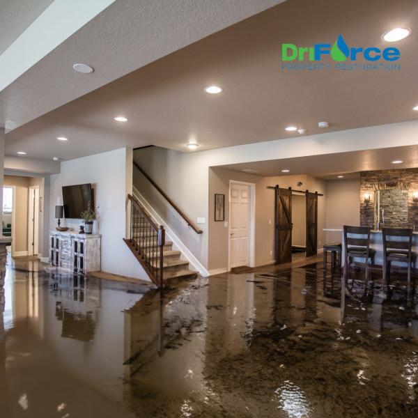 Driforce Property Restoration