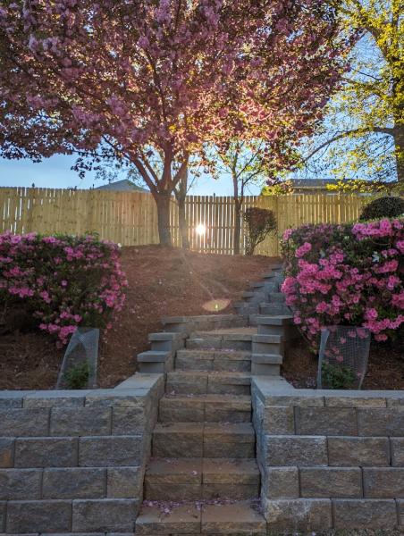 Barber Landscaping and Lawn Care