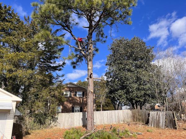 Mel's Tree Services