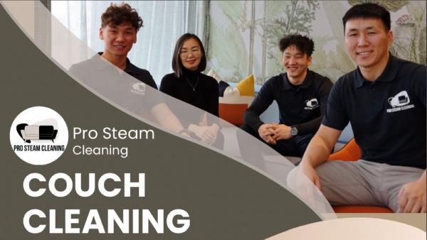 #1 Pro Steam Cleaning Services in NY & NJ: Upholstery
