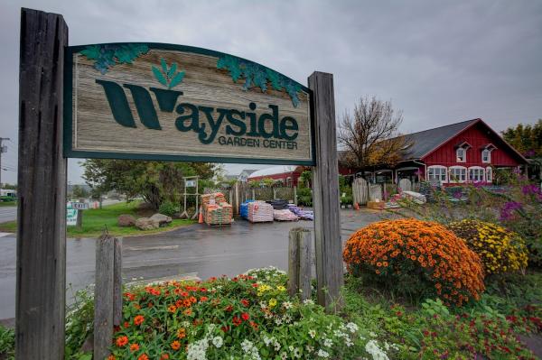 Wayside Garden Center Rochester NY
