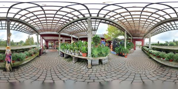 Wayside Garden Center Rochester NY