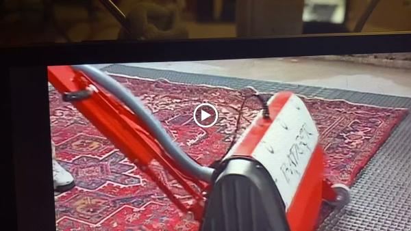 Curri Rugs