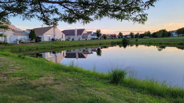 Renaissance Property Management