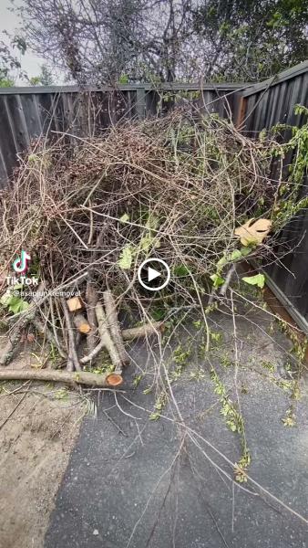 Asap Junk Removal