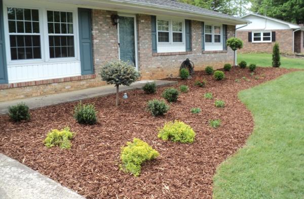 Terry Henderson Landscaping