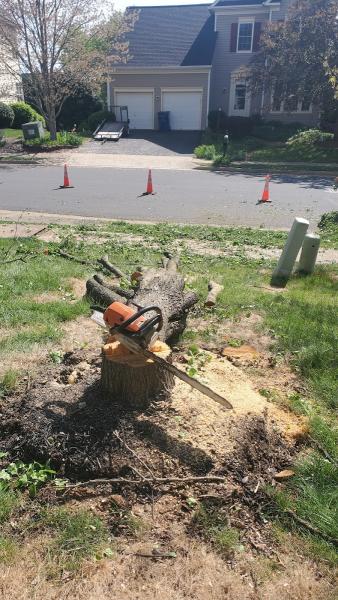 Crown Down Tree Service LLC