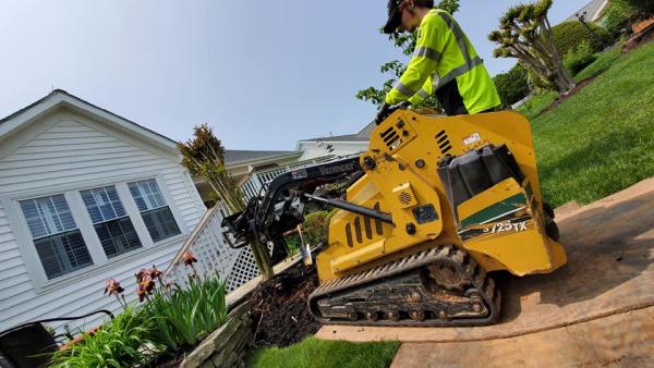 Crown Down Tree Service LLC