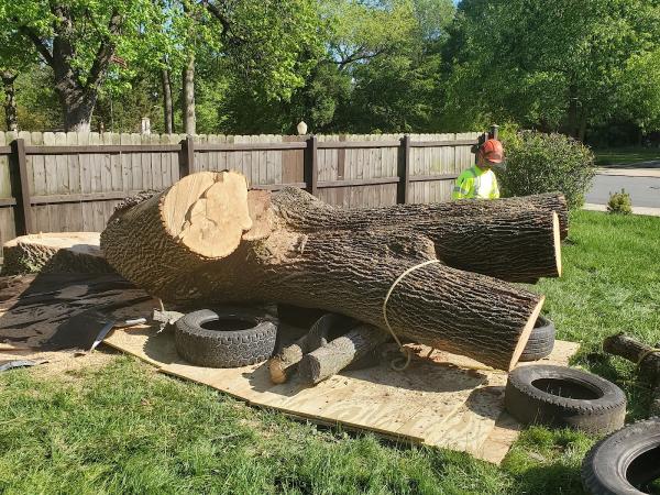 Crown Down Tree Service LLC