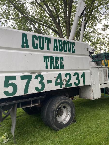 A Cut Above Tree Service