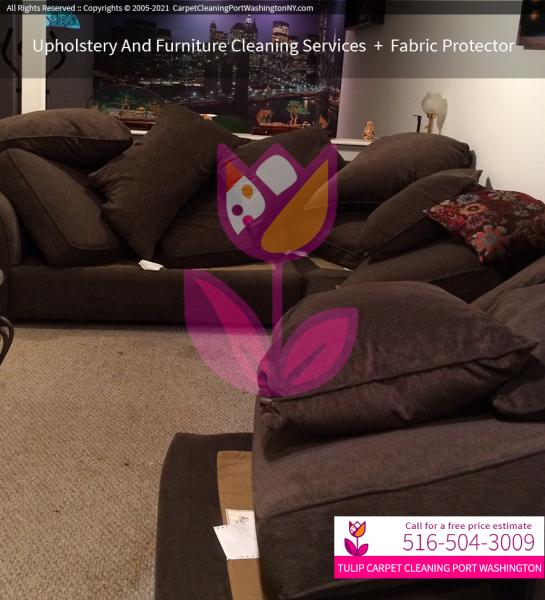 Tulip Carpet Cleaning Port Washington