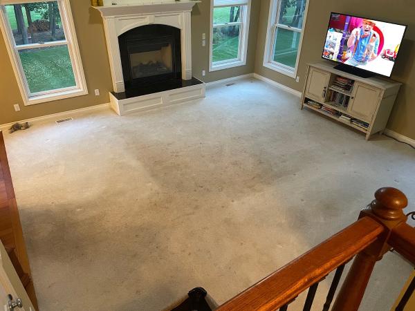 Minute Dry Carpet and Upholstery Cleaning