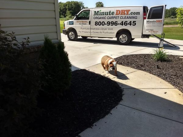 Minute Dry Carpet and Upholstery Cleaning