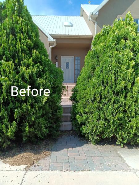J.harris Tree Care Certified Arborist- Albuquerque