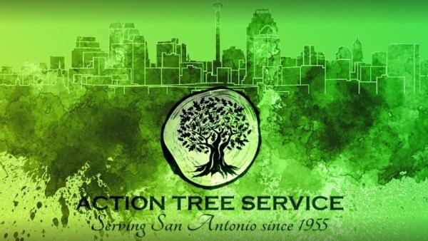 Action Tree Service