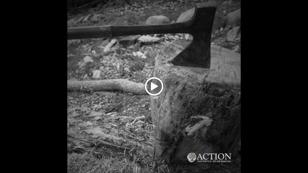 Action Tree Service