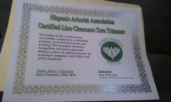 Bay Area Tree Specialists