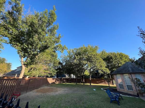 Green Image Tree Service