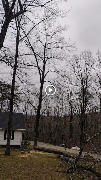 No Compromise Tree Service LLC
