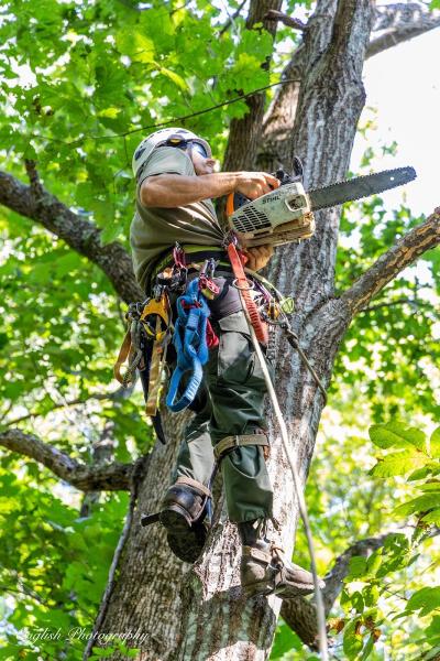 No Compromise Tree Service LLC