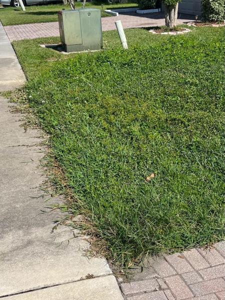 Eureka Lawn Mowing Service