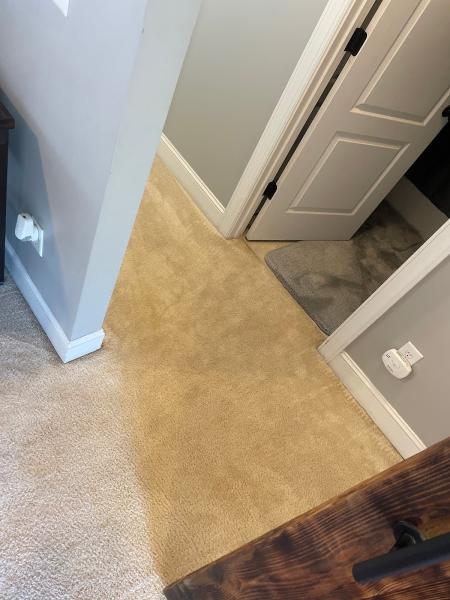 Turbo Carpet Cleaning