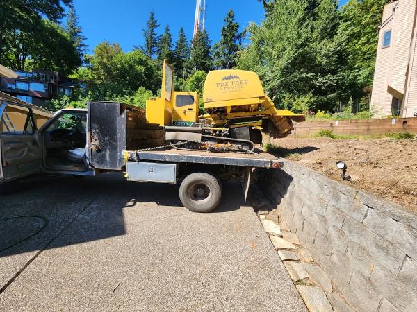 PDX Tree Service