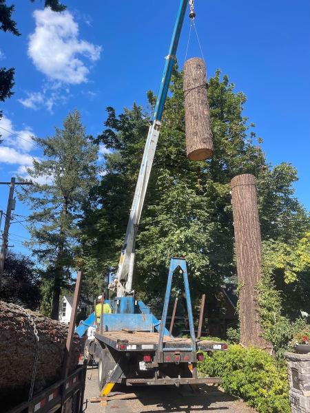 PDX Tree Service