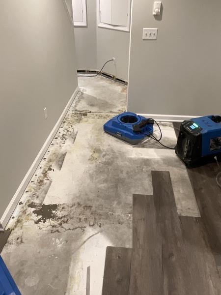 Professional Carpet Systems & Professional Restoration Systems