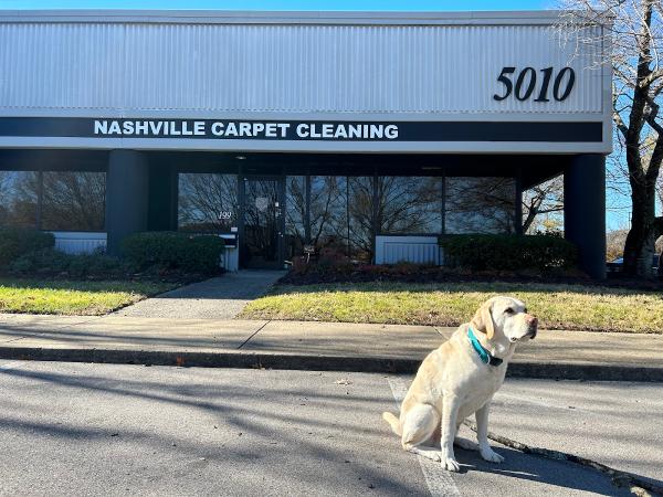 Nashville Carpet Cleaning