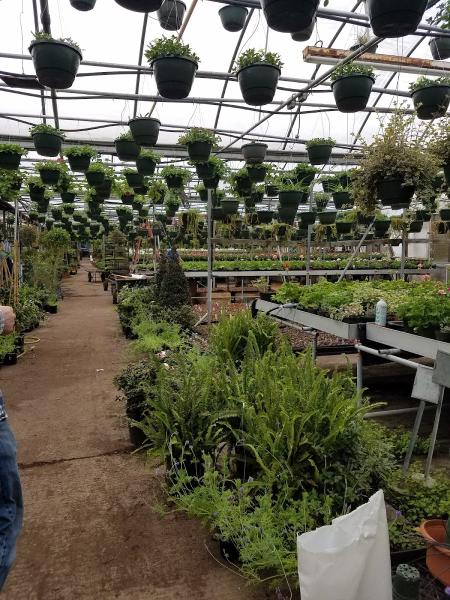 Nelson Greenhouses Inc