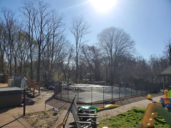 Premier Tree Service