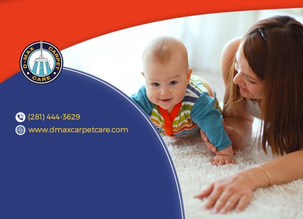 D-Max Carpet Care