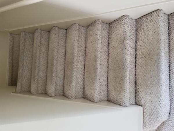 D-Max Carpet Care