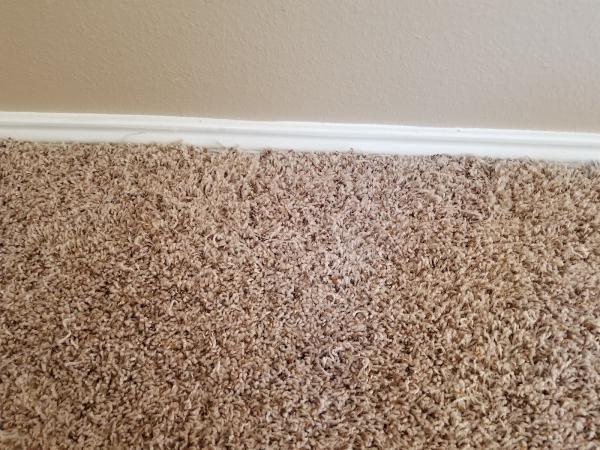 D-Max Carpet Care