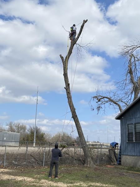 Americas Lawn and Tree Service
