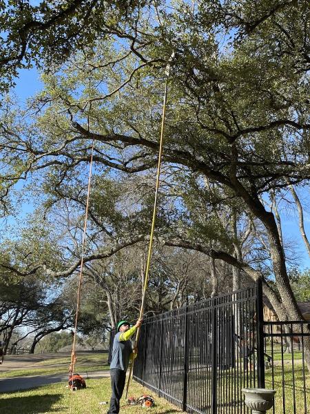 Americas Lawn and Tree Service