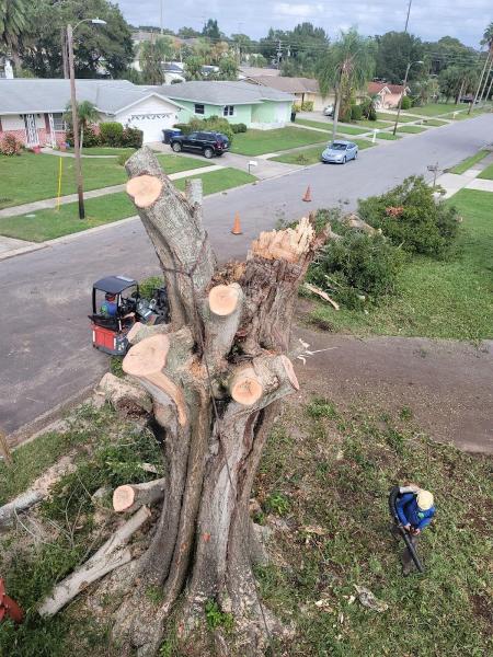 Happy's Tree Service
