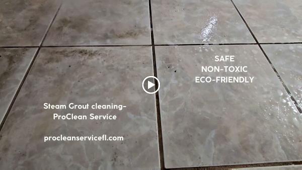 Pro Clean Service