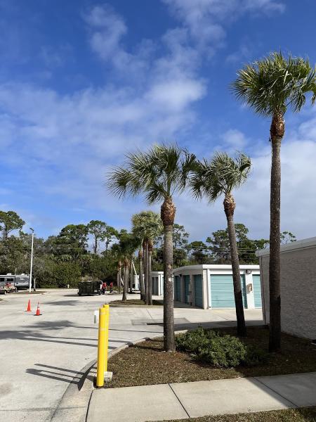 Amerilawn and Landscaping